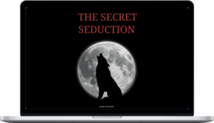 Aesthetic Vibes – The Secret Seduction