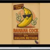White Knight - BCX Protocol 3.7 - Angion Pathway Modulator