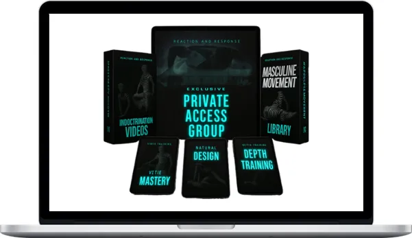 ZenityArts – Reaction And Response ZenityArts – Reaction And Response