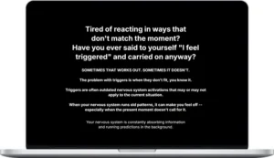 Trigger Reset System Short Course