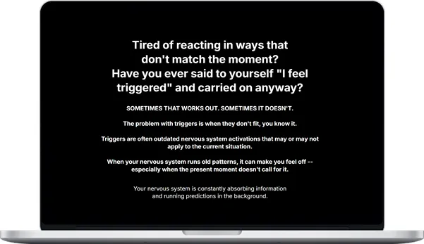 Trigger Reset System Short Course